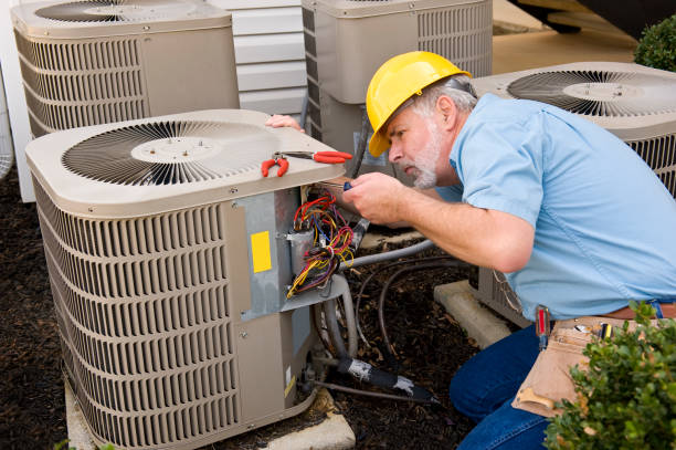 Best Local HVAC Companies  in Orange Blossom, CA